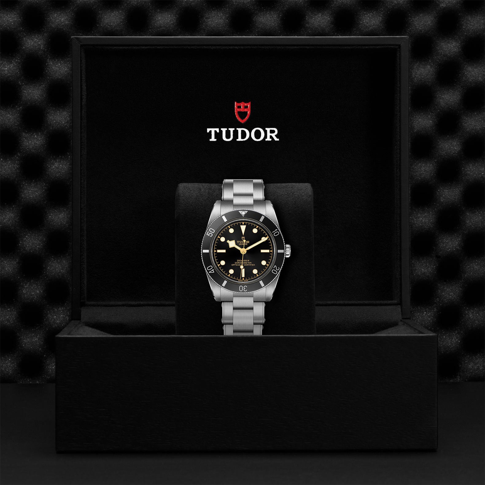 TUDOR Black Bay 54