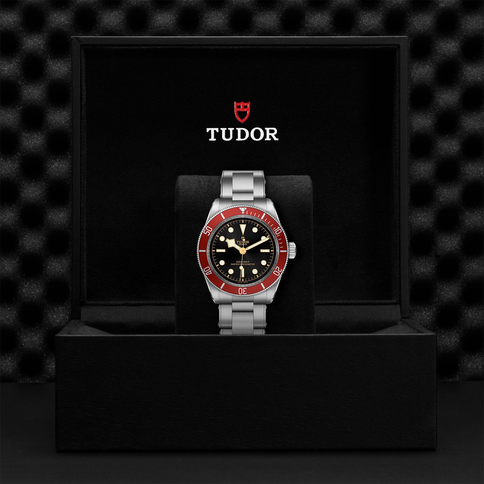 TUDOR Black Bay